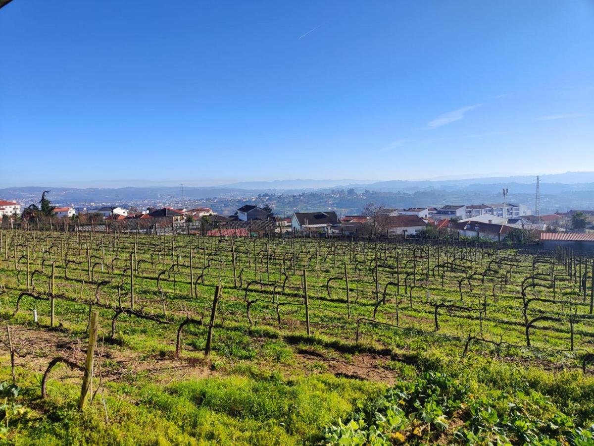 ホテル Quinta De Basto House フェルゲイラス エクステリア 写真