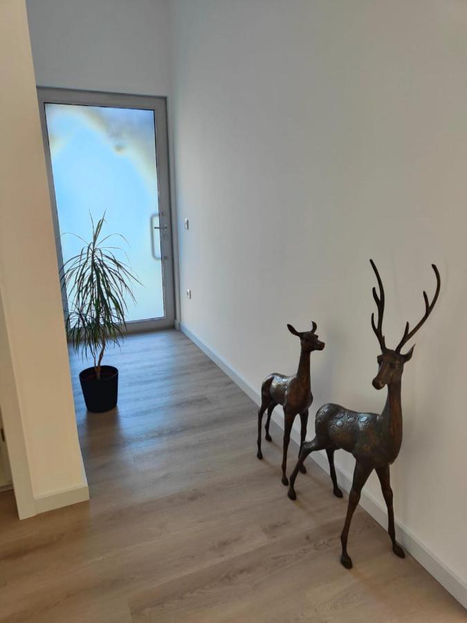 ホテル Quinta De Basto House フェルゲイラス エクステリア 写真